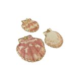 Pingente Concha do Mar Natural C/ Dourado – 1 Und