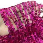 Franja Paetê 20cm Holográfica - Metro - Imagem 2