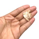 Pingente Imitação Madrepérola Peixe 23x30mm - 1 Und - Imagem 2