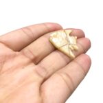 Pingente Imitação Madrepérola Peixe 23x30mm - 1 Und - Imagem 4