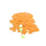 Paetê Pastilha Estrela 16mm Plástico – 20 Gramas