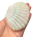 Caixa Concha Do Mar Pérola 8cm - 1 Und - Imagem 3