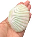 Caixa Concha Do Mar Pérola 8cm - 1 Und - Imagem 5