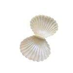 Caixa Concha Do Mar Pérola 8cm - 1 Und - Imagem 4