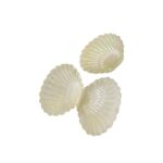 Caixa Concha Do Mar Pérola 8cm - 1 Und