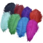 Pena Avestruz 15cm Color - 6 Unds - Imagem 3