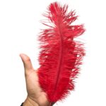 Pena Avestruz 25cm Color – 3 Unds - Imagem 2