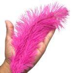 Pena Avestruz 25cm Color – 3 Unds - Imagem 3