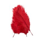 Pena Avestruz 25cm Color – 3 Unds - Imagem 5