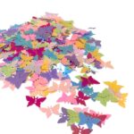 Paetê Pastilha Borboleta C/ 2 Furos Plástico - 20 Gramas