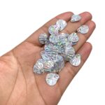 Paetê Pastilha Concha 14mm Prata Holográfico - 20 Gramas - Imagem 2