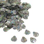 Paetê Pastilha Concha 14mm Prata Holográfico - 20 Gramas - Imagem 3