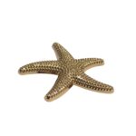 Botão Estrela Do Mar 5cm Dourado - 1 Und - Imagem 5