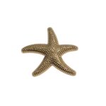 Botão Estrela Do Mar 5cm Dourado - 1 Und