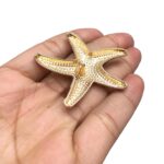 Botão Estrela Do Mar 5cm Dourado - 1 Und - Imagem 3