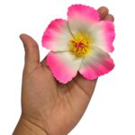 Aplique Flor 10cm Color - 1 Und - Imagem 6