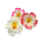 Aplique Flor 10cm Color - 1 Und