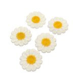 Aplique Flor Margarida 5cm Tecida - 1 Und
