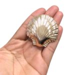 Fivela Concha Do Mar 5cm Dourado - 1 Und - Imagem 2
