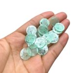 Escama Madrepérola 15mm Color - C/ 20 Unds - Imagem 5