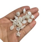 Conta Entremeio Mix Do Mar - 20 Gramas - Imagem 3