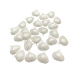 Conta Pingente Concha Do Mar 25mm Abs - 20 Gramas