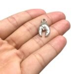 Pingente Pata Caranguejo 22mm Níquel - 1 Und - Imagem 4