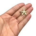 Entremeio Estrela Do Mar 23mm Dourado - 1 Und - Imagem 2