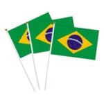Bandeira Brasil C/ Haste 14x20cm Tecido – 1 Und