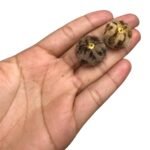 Pingente Tecido Bola 20mm Pelúcia – 1 Und - Imagem 2