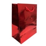 Sacola Papel P/ Presente 10x18x23cm - 1 Und