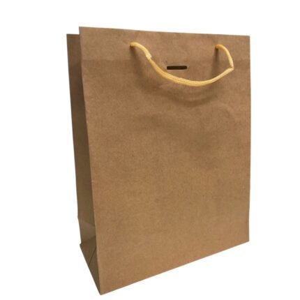 Sacola Kraft 10x21x27cm – 1 Und