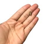 Terminal Colagem 5x10mm Ouro Velho - 4 Unds - Imagem 2