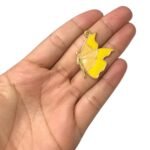 Pingente Borboleta 28x34mm C/ Resina Dourado - 1 Und - Imagem 6