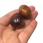 Semente Olho De Boi - 1 Und - Imagem 2