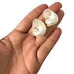 Concha Do Mar P Perolado – 1 Und - Imagem 3