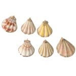 Pingente Concha Do Mar C/ Frizo Dourado - 1 Und