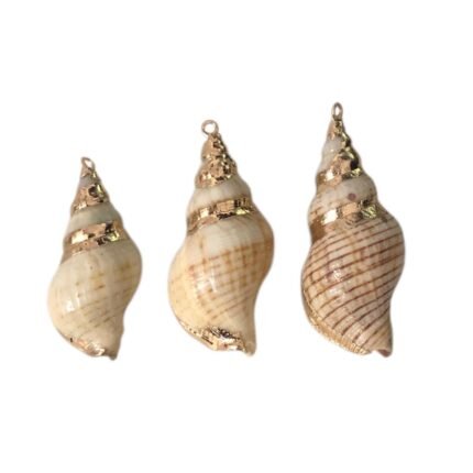 Pingente Concha Do Mar C/ Frizo – 1 Und