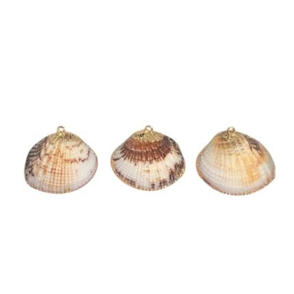 Pingente Concha Do Mar C/ Frizo – 1 Und