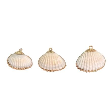 Pingente Concha Do Mar C/ Frizo – 1 Und