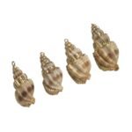 Pingente Concha Do Mar C/ Frizo – 1 Und