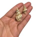Pingente Concha Do Mar C/ Frizo – 1 Und - Imagem 3
