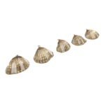 Pingente Concha Do Mar C/ Frizo – 1 Und