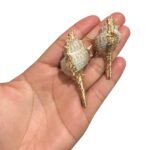 Pingente Concha Do Mar C/ Dourado – 1 Und - Imagem 3
