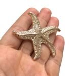 Broche Estrela Do Mar 55mm Dourado – 1 Und - Imagem 5