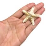 Pingente Estrela Do Mar 47mm Resina - 20 Gramas - Imagem 2