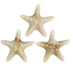 Pingente Estrela Do Mar 47mm Resina - 20 Gramas