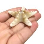 Pingente Estrela Do Mar 47mm Resina - 20 Gramas - Imagem 3