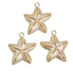 Pingente Estrela Do Mar 28x32mm Abs - 20 Gramas
