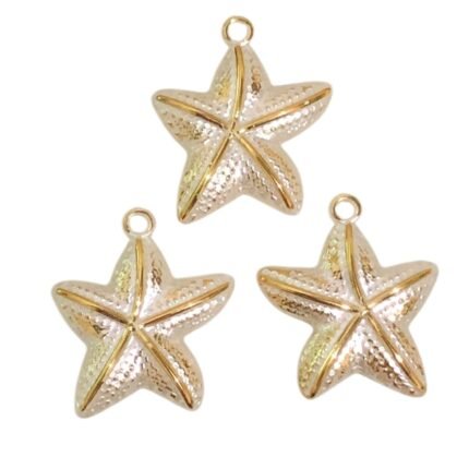 Pingente Estrela Do Mar 28x32mm Abs - 20 Gramas